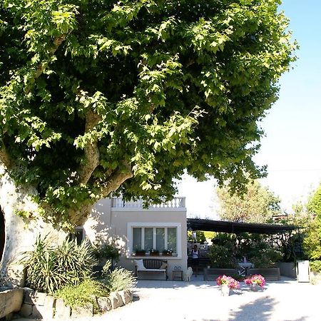 Le Vieux Platane Hotel Cairanne Ngoại thất bức ảnh